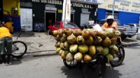 Vendeur ambulant de noix de cocos