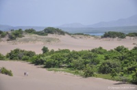 Dunes de Bani, Peravia en République Dominicaine